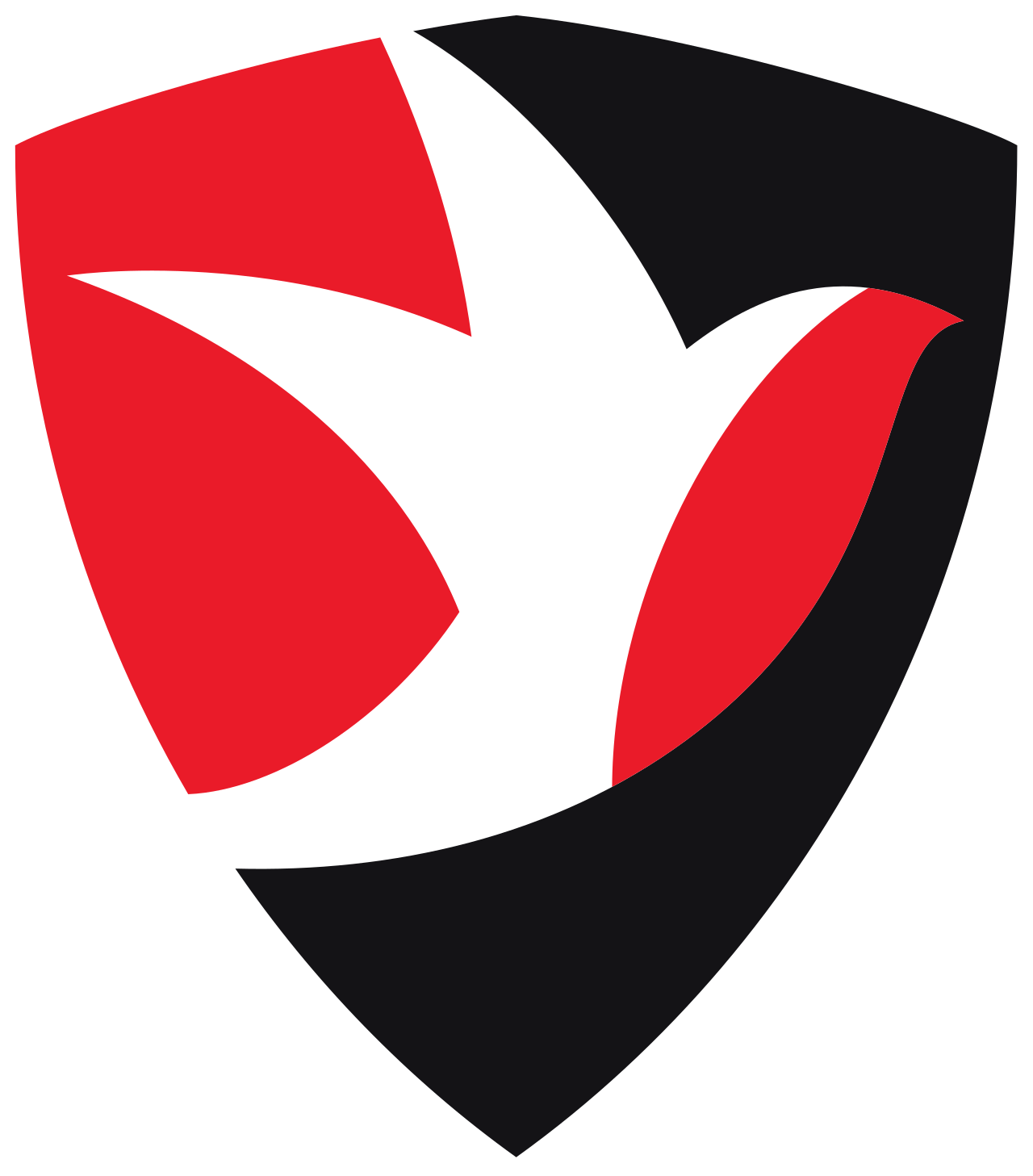 BARNET FC VS CHELTENHAM TOWN